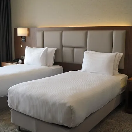 Crowne Plaza By Ihg ילובה